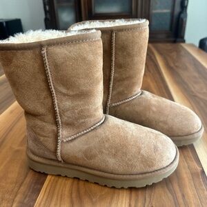 Chestnut Classic Short UGG boots